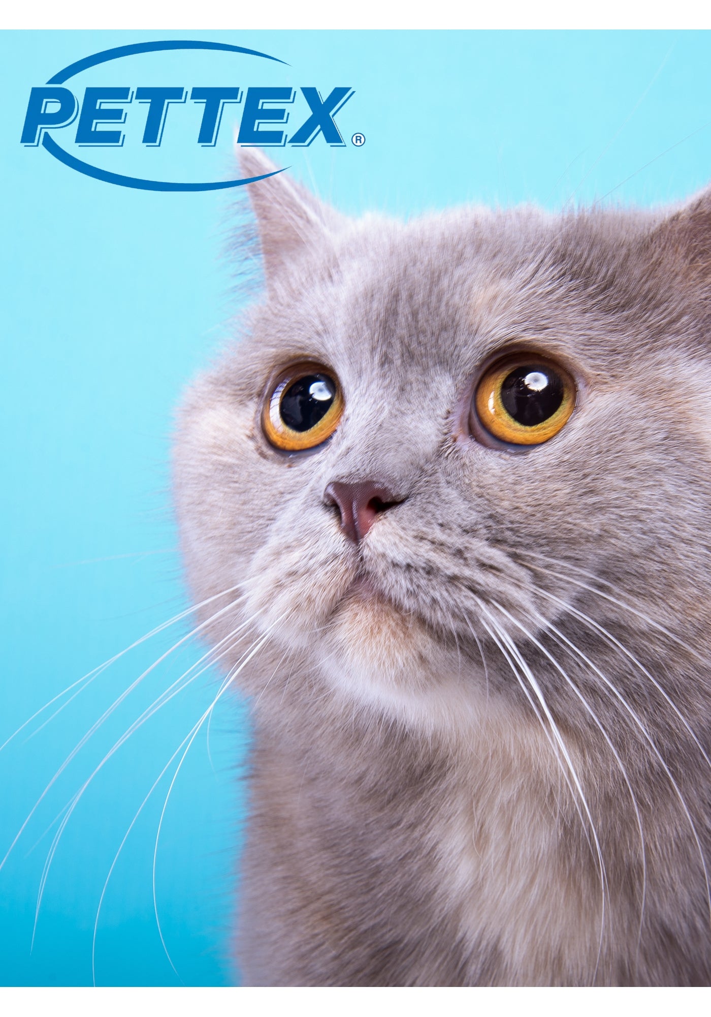 Pettex - Premium Grey Cat Litter - 20kg