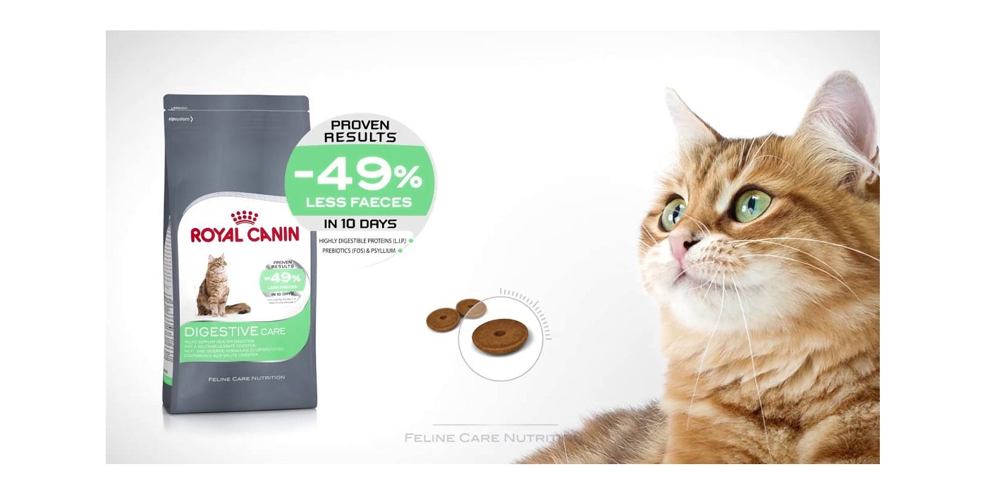 Royal Canin - Digestive Care | Dry Cat Food - Buy Online SPR Centre UK