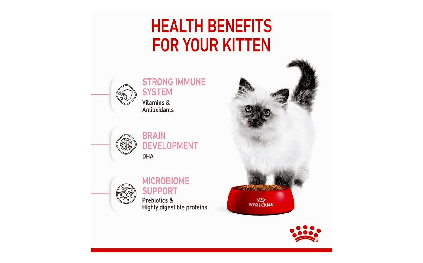 Royal Canin - Kitten | Dry Cat Food - Buy Online SPR Centre UK