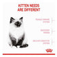 Royal Canin - Kitten | Dry Cat Food - Buy Online SPR Centre UK