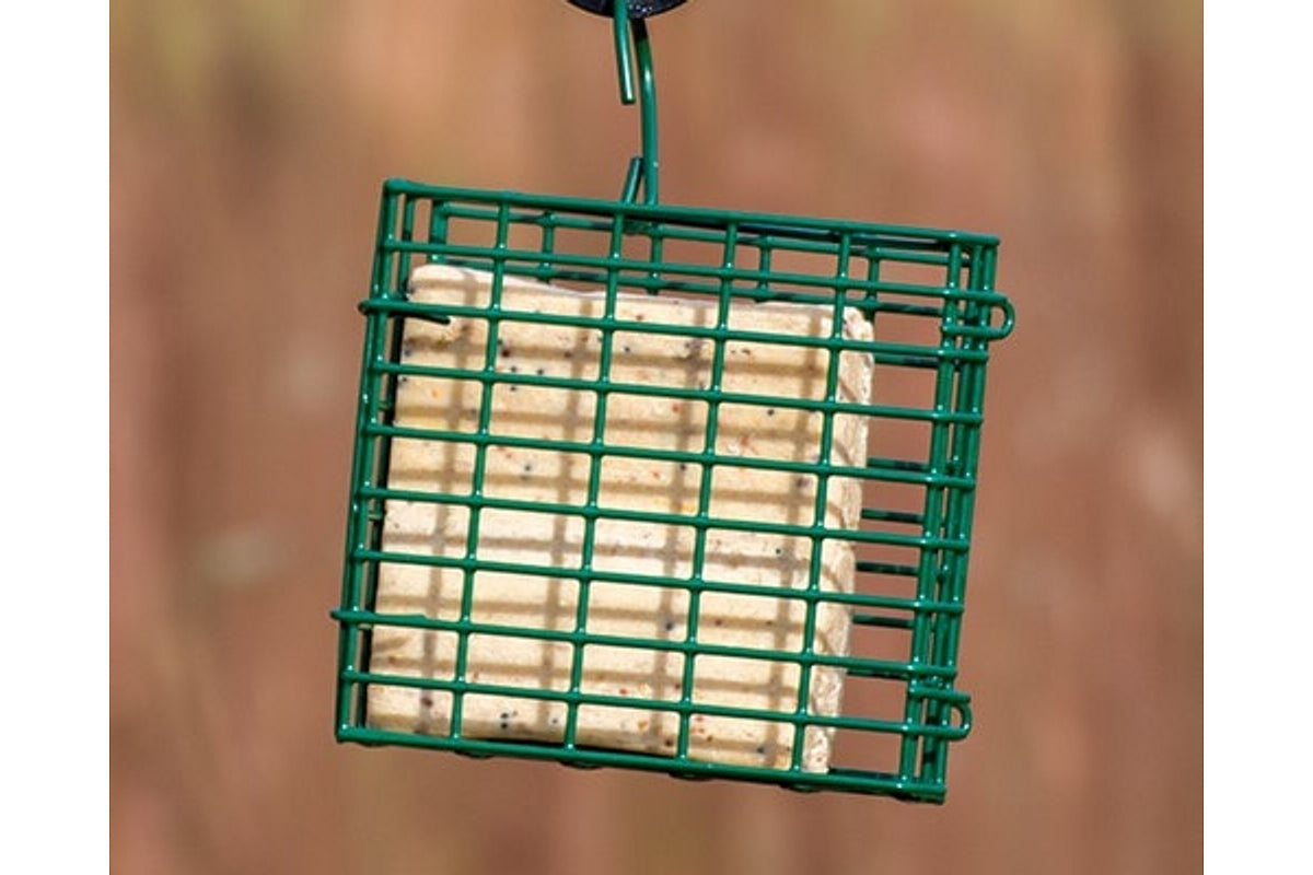 Suet To Go - Suet Cakes with Mealworm 10 x 280g - Buy Online SPR Centre UK