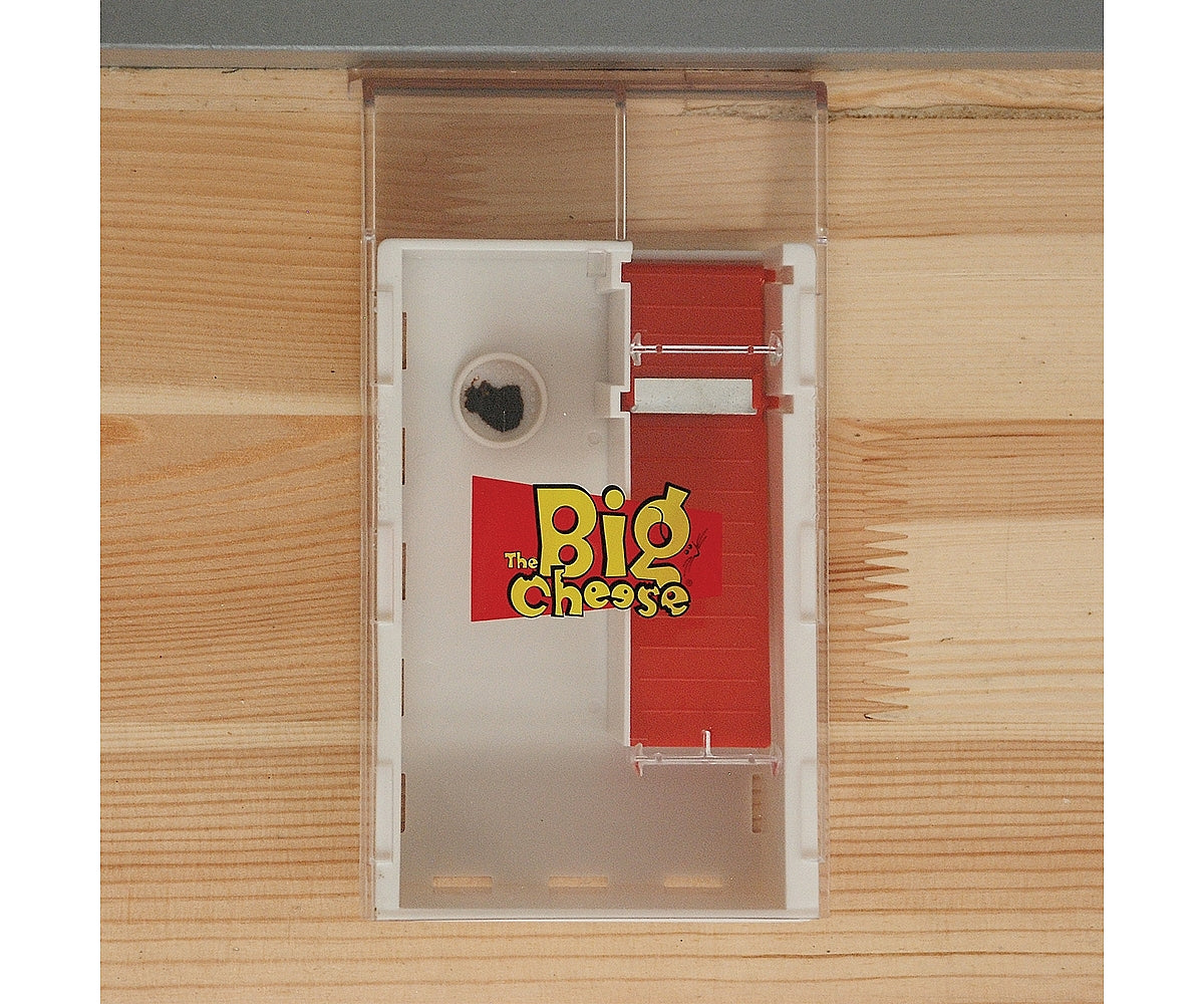The Big Cheese - Live Multi-Catch Mouse Trap