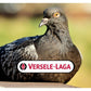 Versele-Laga - Colombine Grit with Redstone 2.5kg - Buy Online SPR centre UK