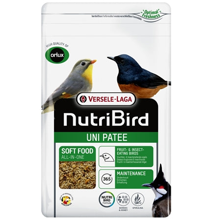 Bird best sale products online