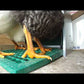 Feedomatic - Poultry Treadle Feeders - Buy Online SPR Centre UK