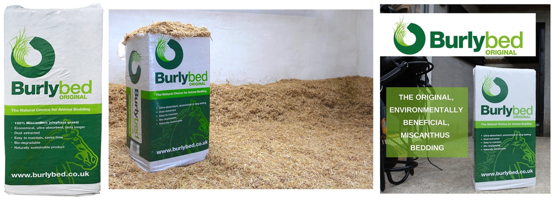 Burlybed Original Animal Bedding