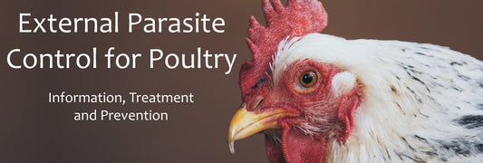 External Parasite Control for Poultry