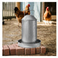 Heritage - 1 Gallon Galvanised Poultry Drinker - Buy Online SPR Centre UK