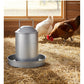Heritage - 2 Gallon Galvanised Poultry Drinker - Buy Online SPR Centre UK