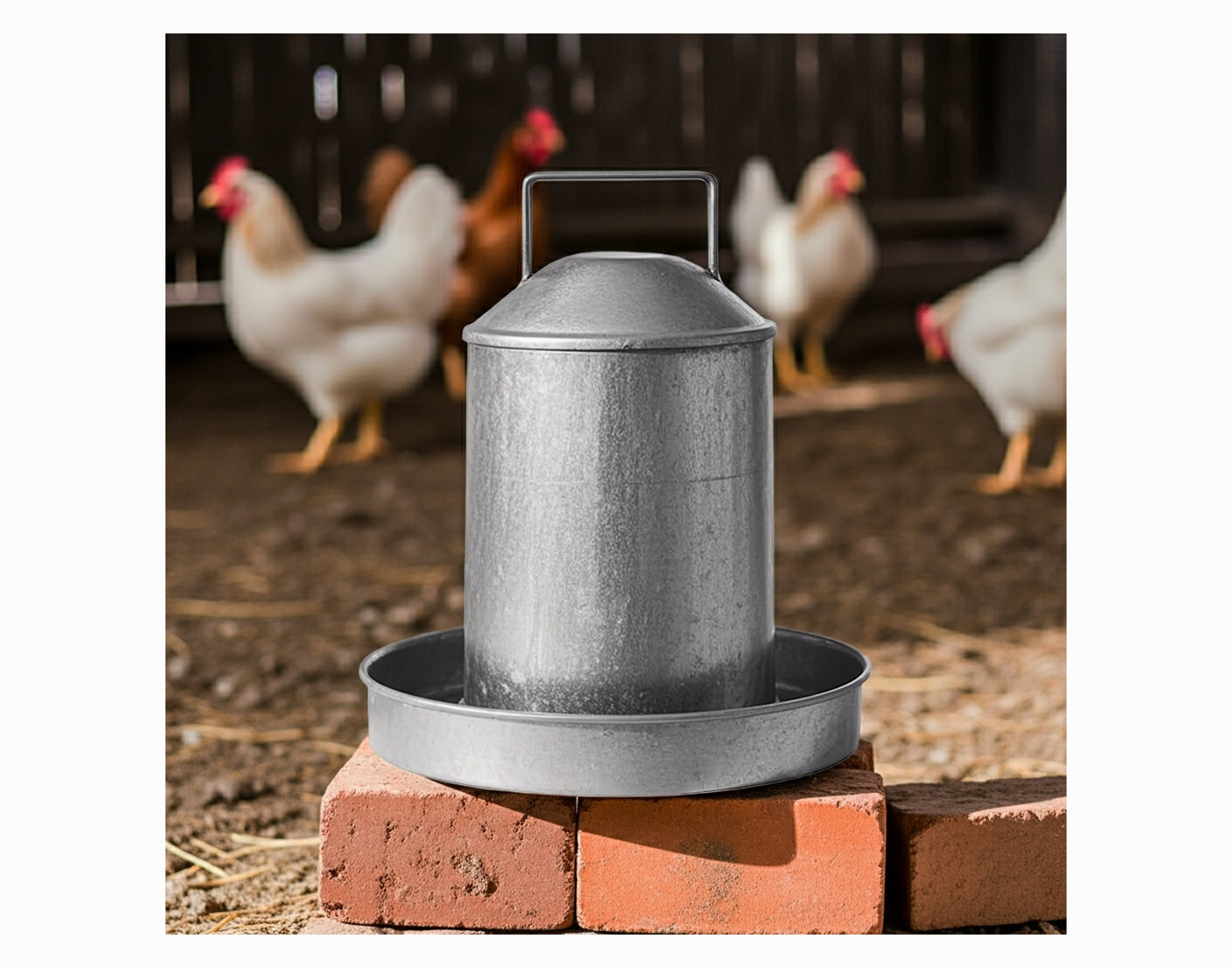 Heritage - 2 Gallon Galvanised Poultry Drinker - Buy Online SPR Centre UK