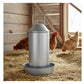 Heritage - 3 Gallon Galvanised Poultry Drinker - Buy Online SPR Centre UK