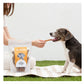 Albion Pet Foods - Air-Dried Pure Chicken Strips - Buy Online SPR Centre UK