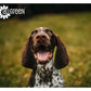 Wood Effect Teal Melamine Dog Bowl - Buy Online SPR Centre UK