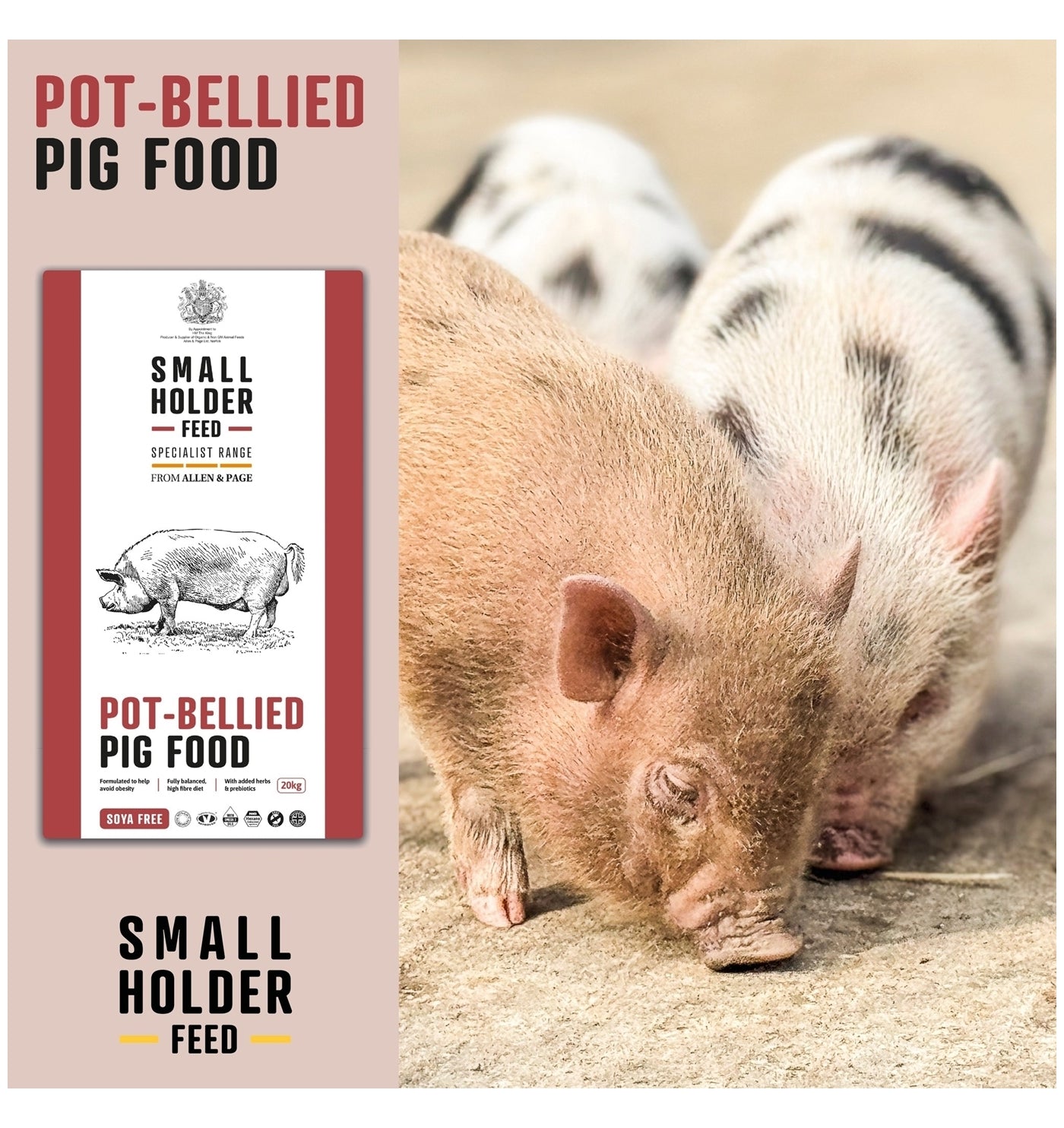 Smallholder Range - Pot-Bellied Pig Food 20kg - Buy Online SPR Centre UK