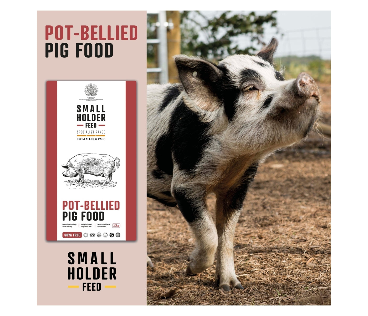 Smallholder Range - Pot-Bellied Pig Food 20kg - Buy Online SPR Centre UK