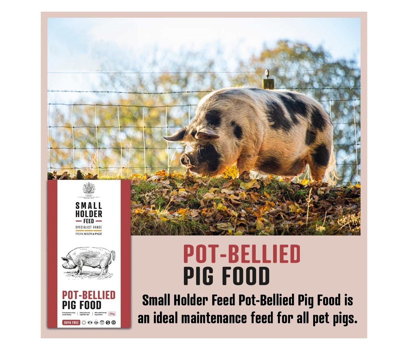 Smallholder Range - Pot-Bellied Pig Food - 20kg