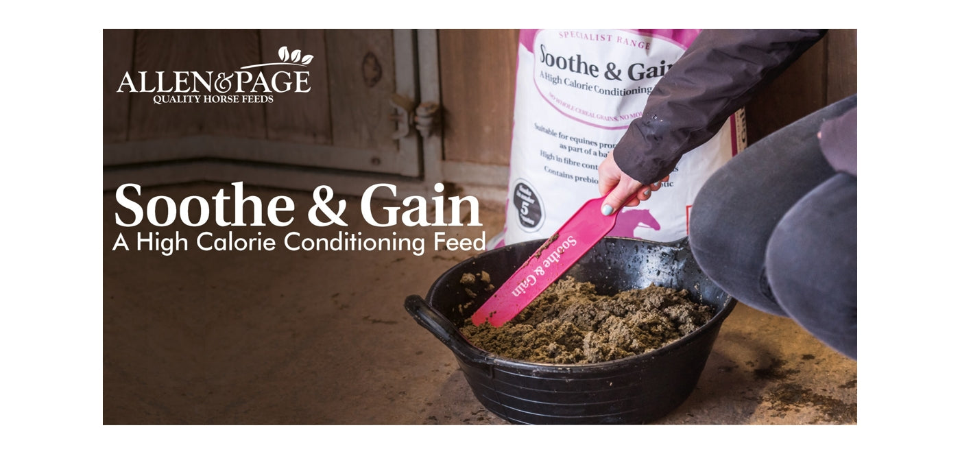Allen & Page - Soothe and Gain | Horse Feed - Buy Online SPR Centre UK