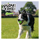 Ancol - Chase Tennis Balls - Buy Online SPR Centre UK