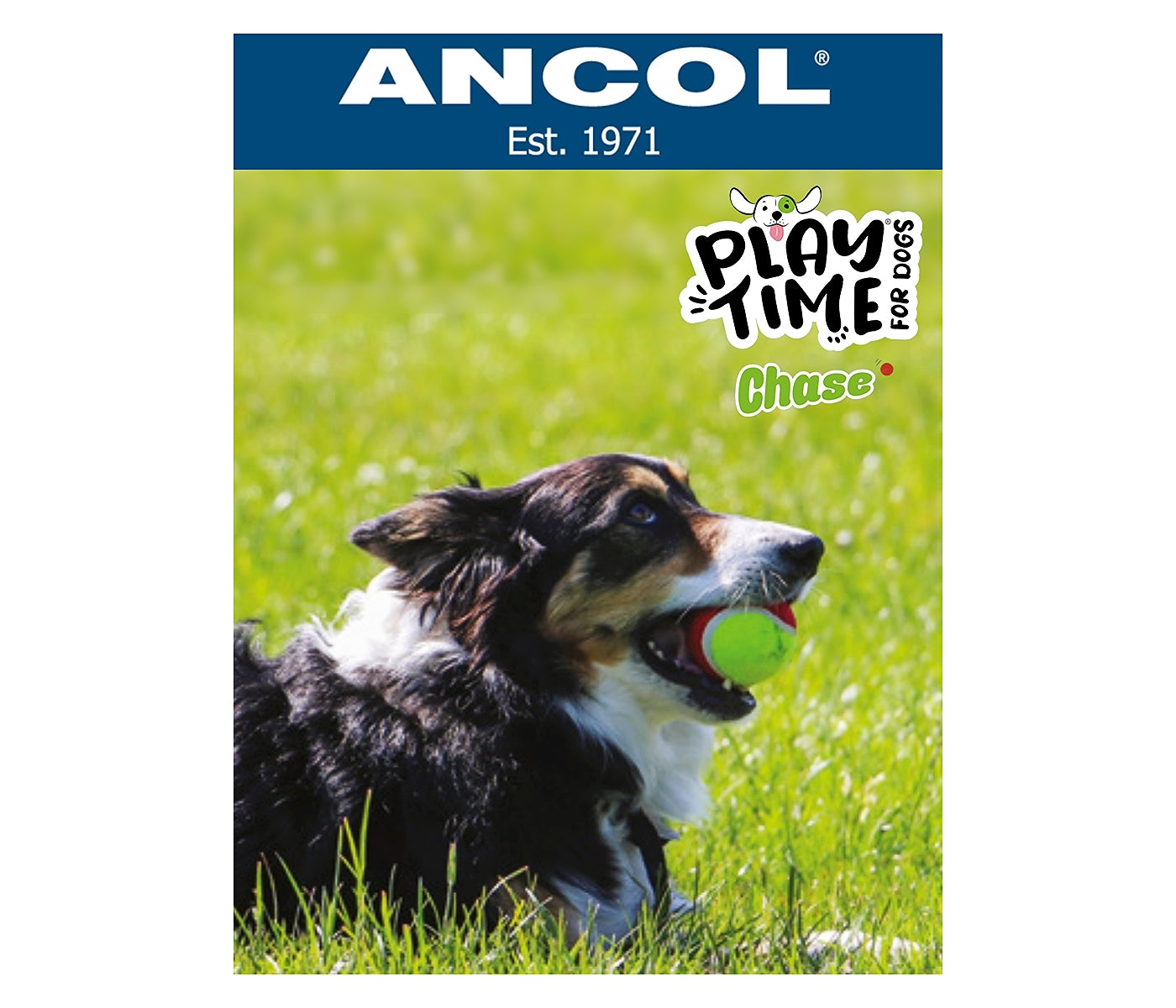 Ancol - Chase Tennis Balls - Buy Online SPR Centre UK