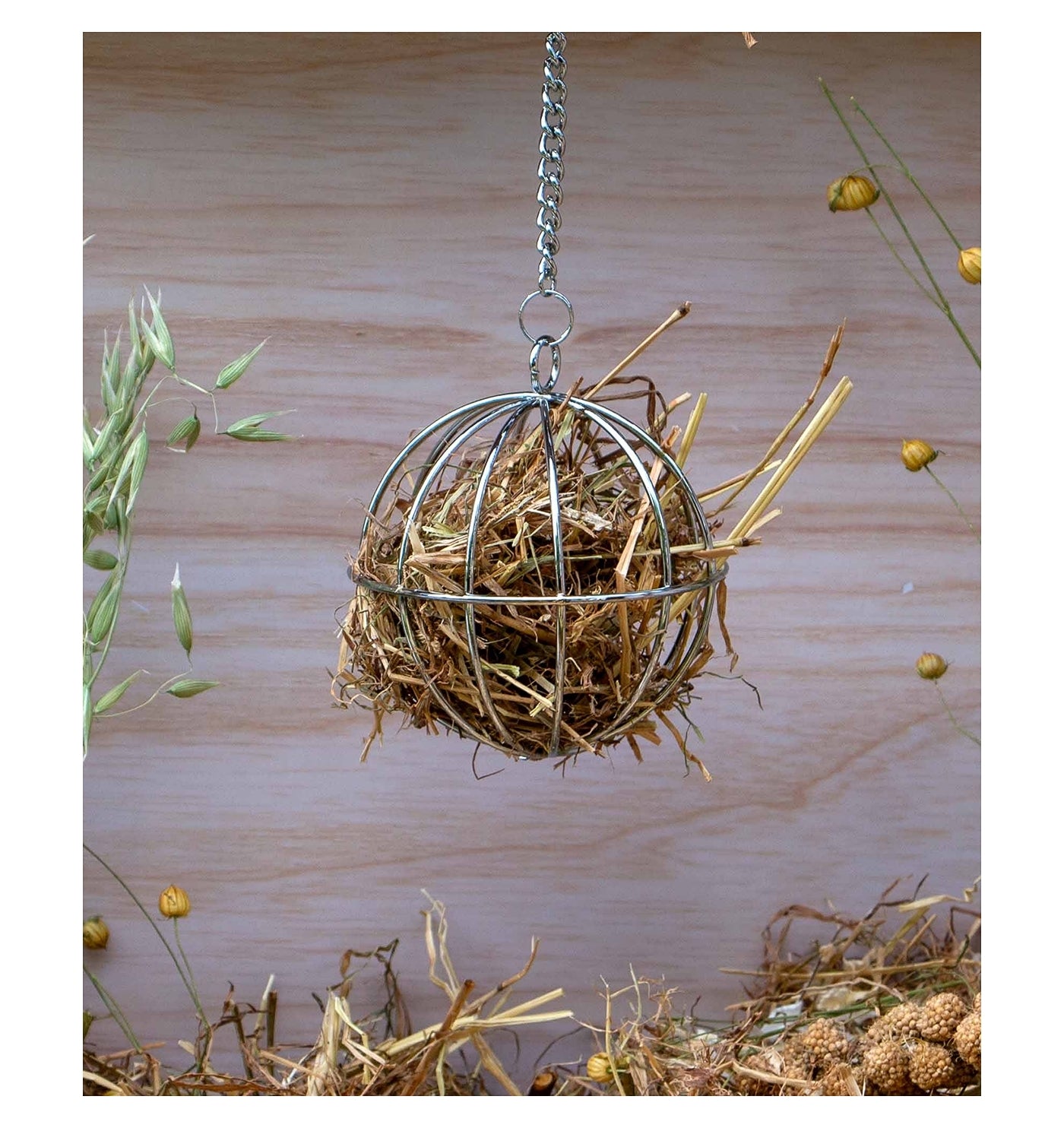 Ancol - Food Ball For Small Animals - Buy Online SPR Centre UK