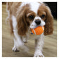 Ancol - High Bounce Tennis Balls | Dog Toys - Buy Online SPR Centre UK