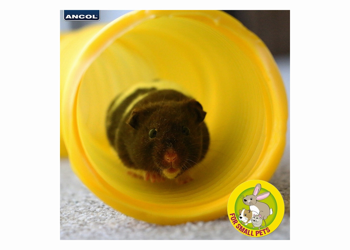 Ancol Tuff Tube | Small Animal Tunnel Toy - Buy Online SPR Centre UK