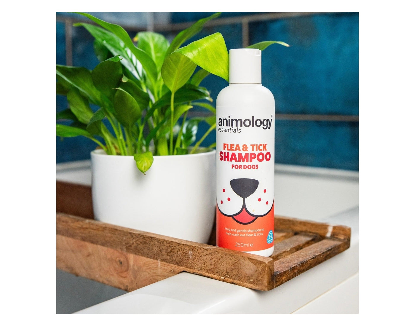 Animology - Essentials Flea & Tick Shampoo 250ml - Buy Online SPR Centre UK