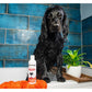Animology - Essentials Flea & Tick Shampoo 250ml - Buy Online SPR Centre UK