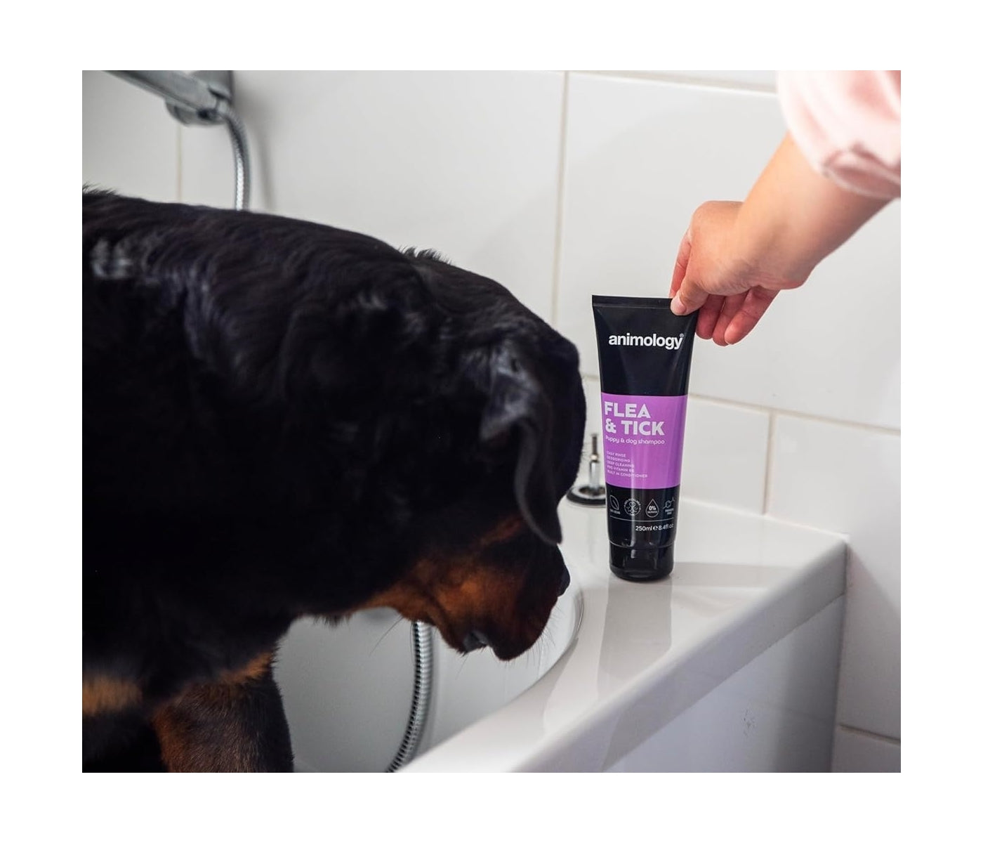 Animology - Flea & Tick Dog Shampoo 250ml - Buy Online SPR Centre UK