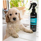 Animology - Puppy Fresh Deodorising Spray - Buy Online SPR Centre UK