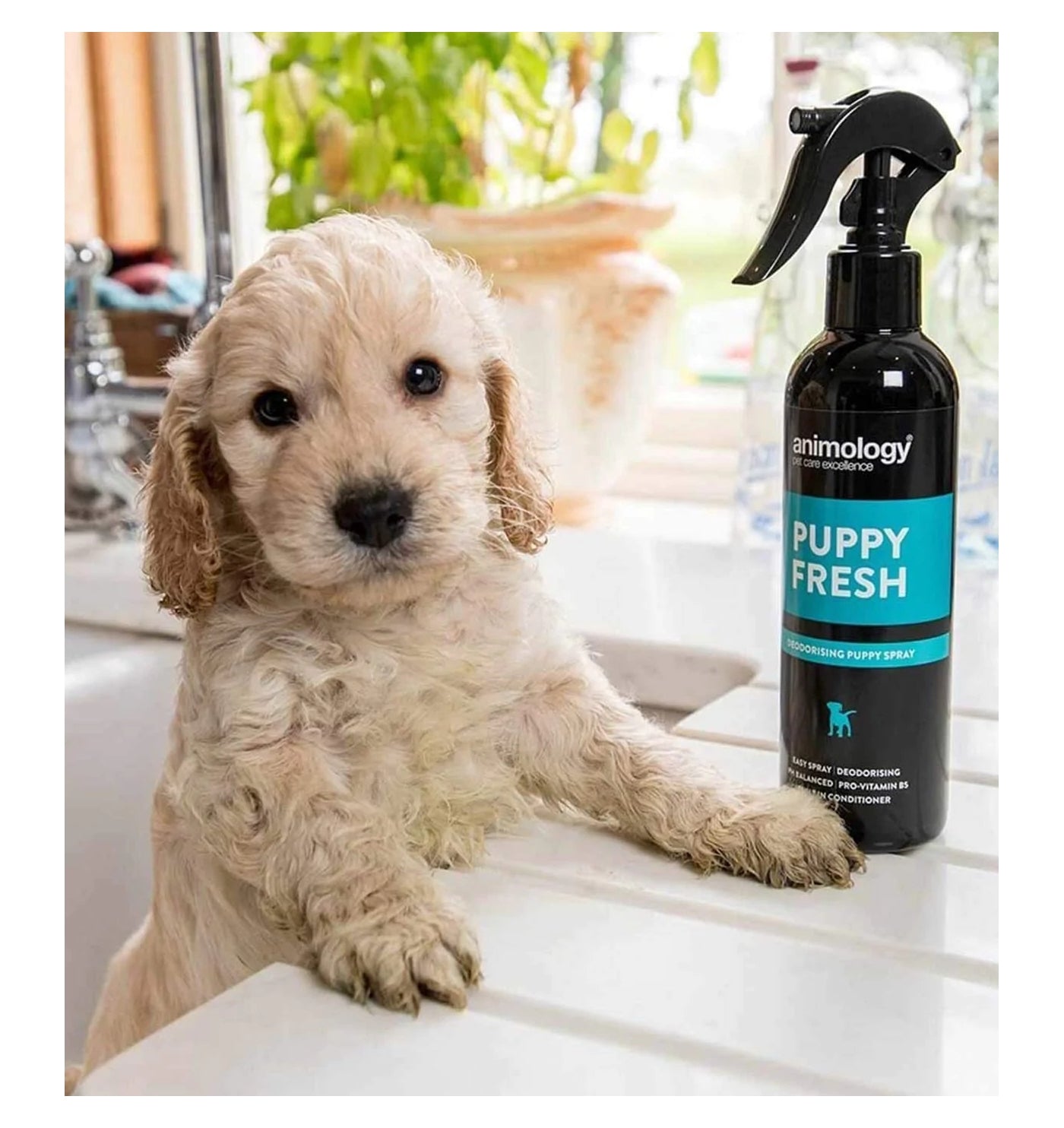 Animology - Puppy Fresh Deodorising Spray - Buy Online SPR Centre UK