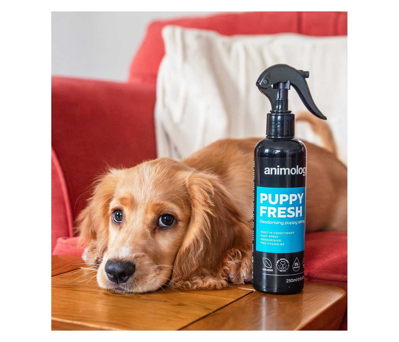 Animology - Puppy Fresh Deodorising Spray - Buy Online SPR Centre UK