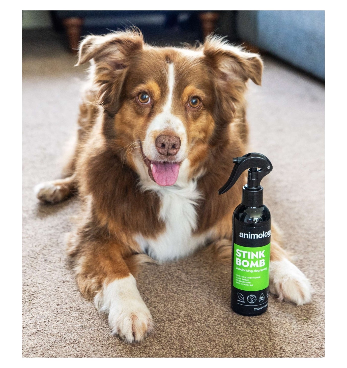Animology - Stink Bomb Deodorising Dog Spray - Buy Online SPR Centre UK