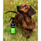 Animology - Stink Bomb Deodorising Dog Spray - Buy Online SPR Centre UK