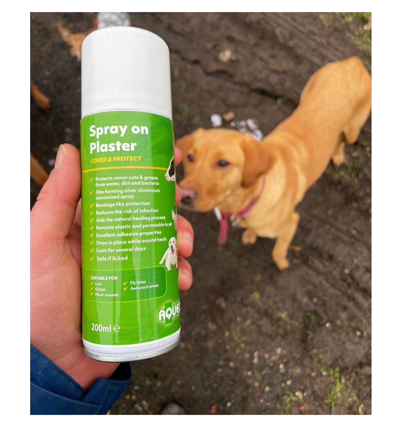 Aqueos - Spray on Plaster 200ml - Buy Online SPR Centre UK