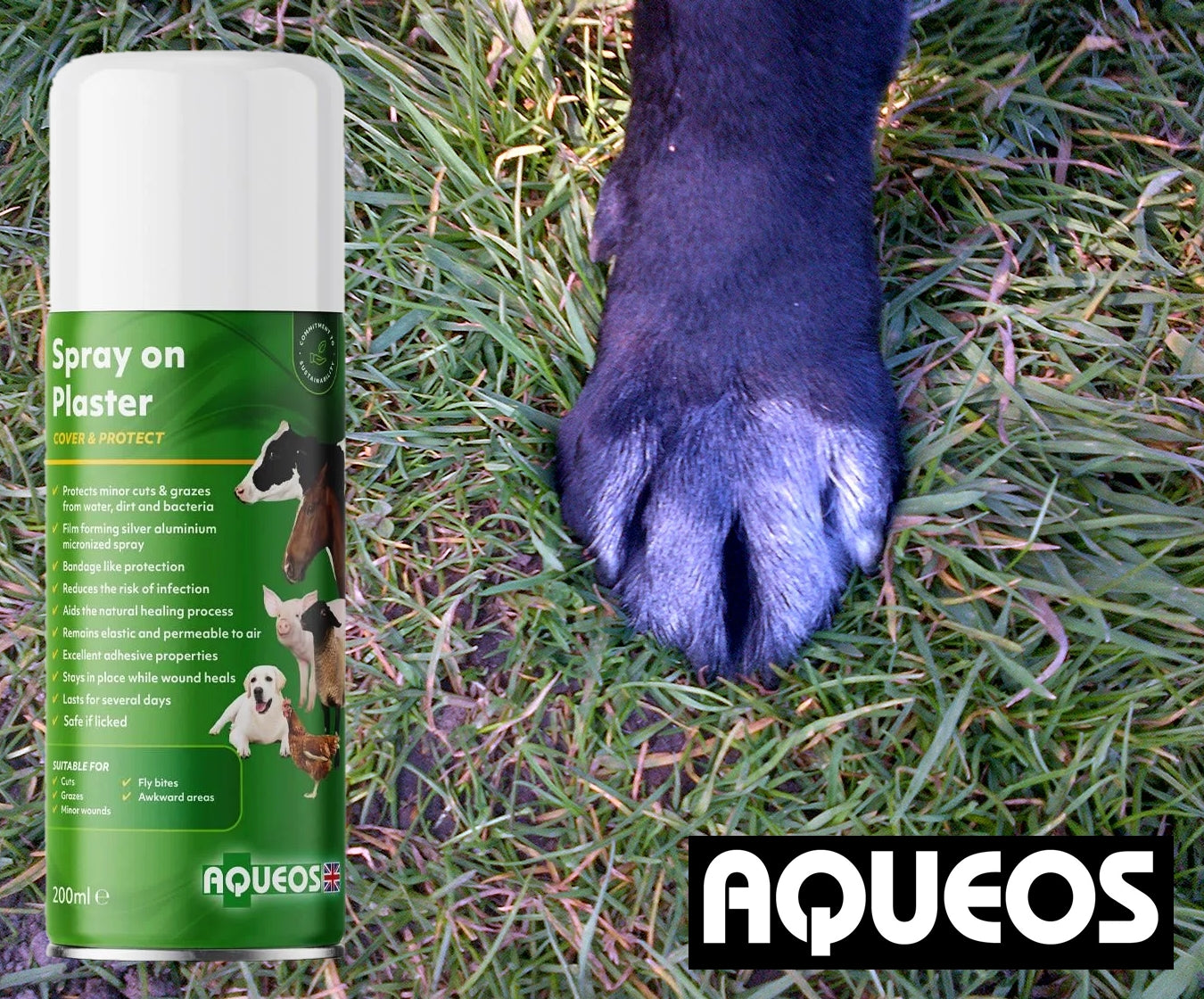 Aqueos - Spray on Plaster 200ml - Buy Online SPR Centre UK