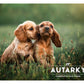 Autarky - Puppy/Junior Delicious Chicken 12kg - Buy Online SPR Centre UK