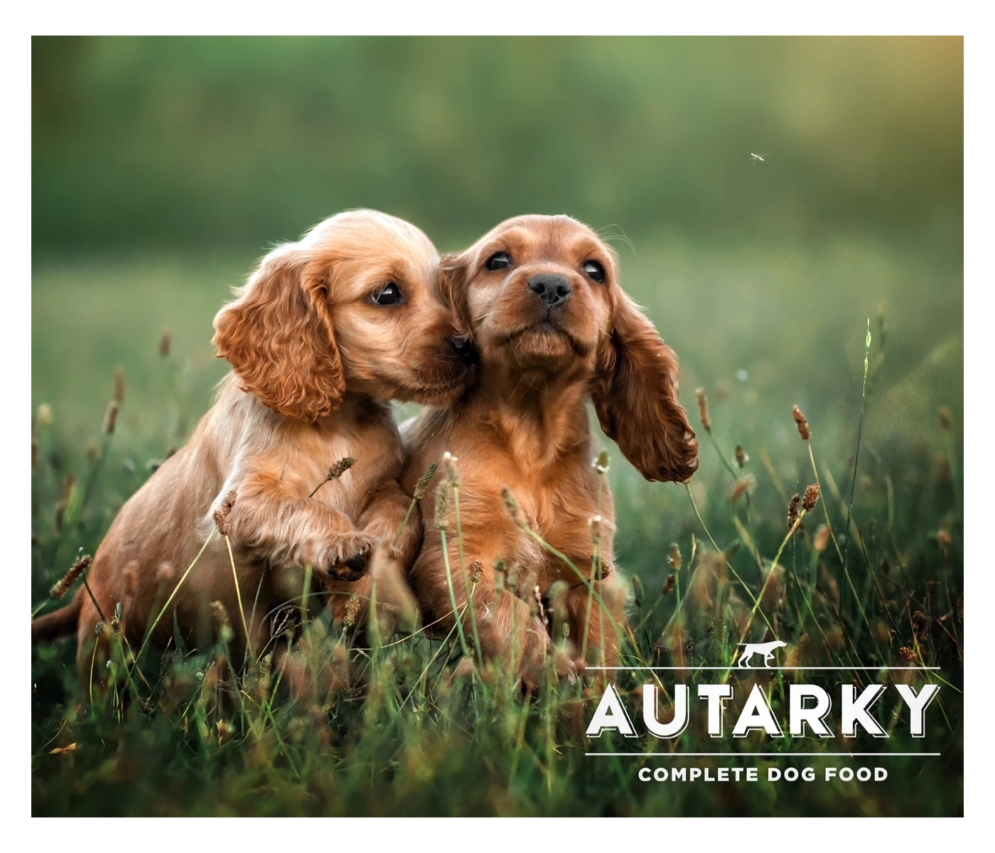 Autarky - Puppy/Junior Delicious Chicken 12kg - Buy Online SPR Centre UK