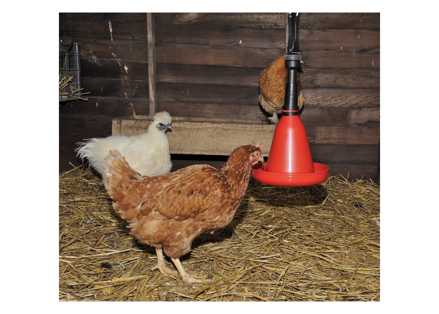 BEC 75 Automatic Hanging Poultry Drinker - Buy Online SPR Centre UK