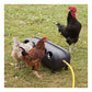 BEC - Automatic Chicken & Duck Drinker - 16 litre - Buy Online SPR Centre UK