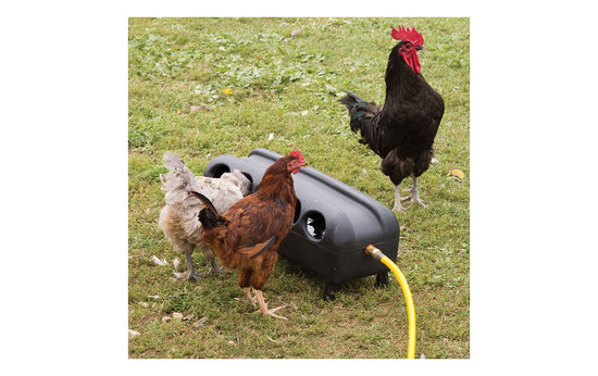 BEC - Automatic Chicken & Duck Drinker - 16 litre - Buy Online SPR Centre UK
