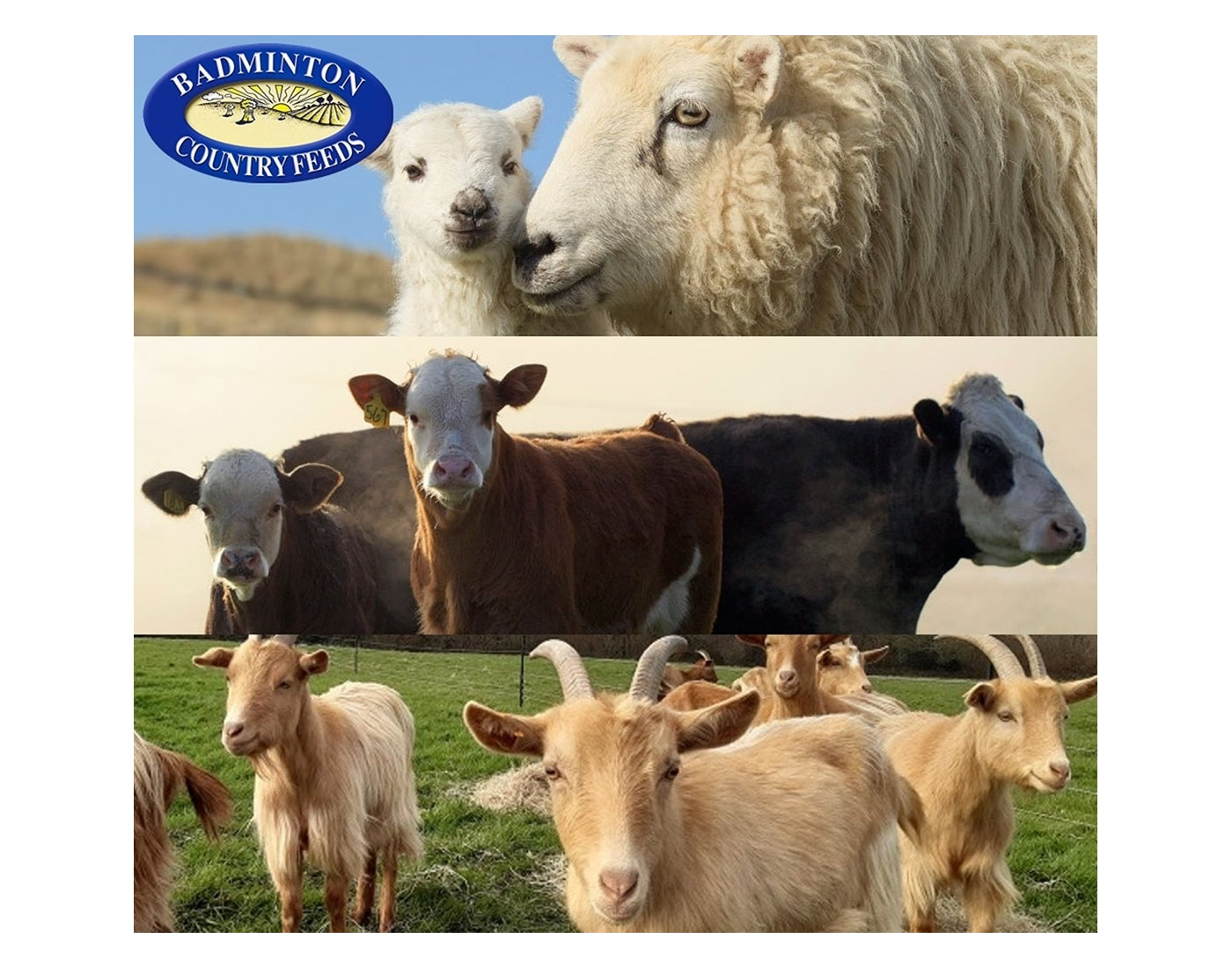 Badminton - Country Mix 20kg - Buy Online SPR Centre UK