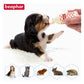 Beaphar - Lactol Feeding Set - Buy Online SPR Centre UK