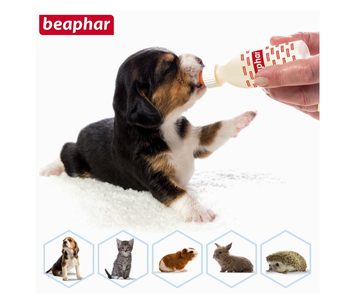 Beaphar - Lactol Feeding Set - Buy Online SPR Centre UK
