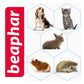 Beaphar - Lactol Feeding Syringes for Small Animals (2 pack) - Buy Online SPR Centre UK