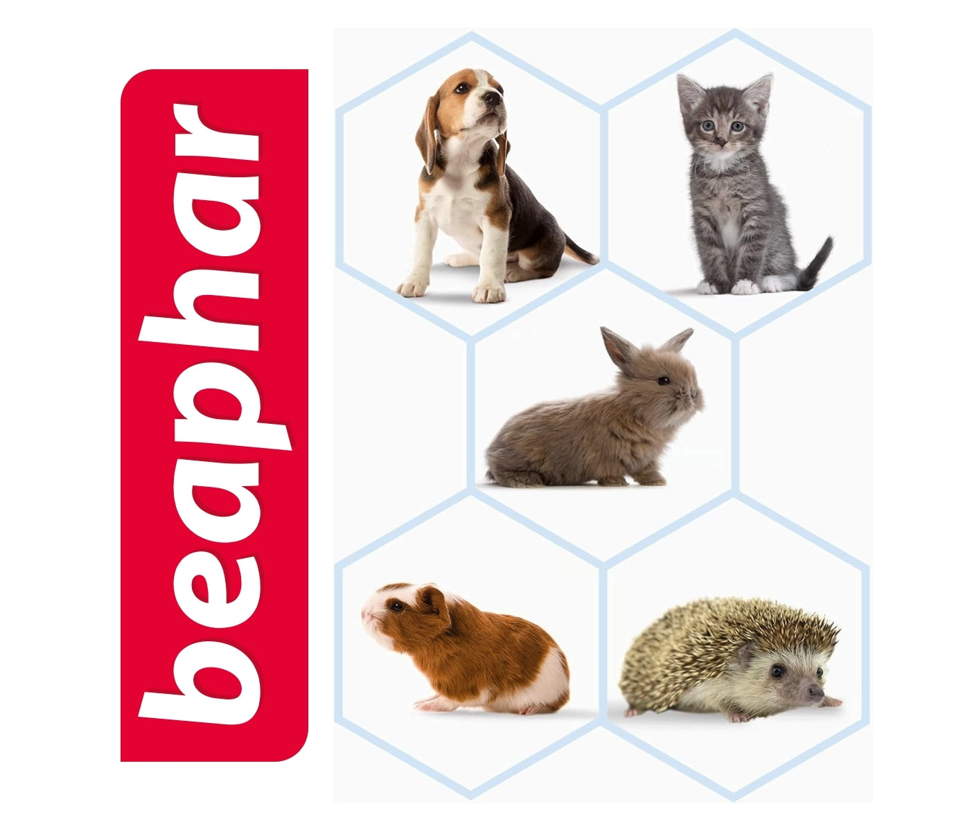 Beaphar - Lactol Feeding Syringes for Small Animals (2 pack) - Buy Online SPR Centre UK