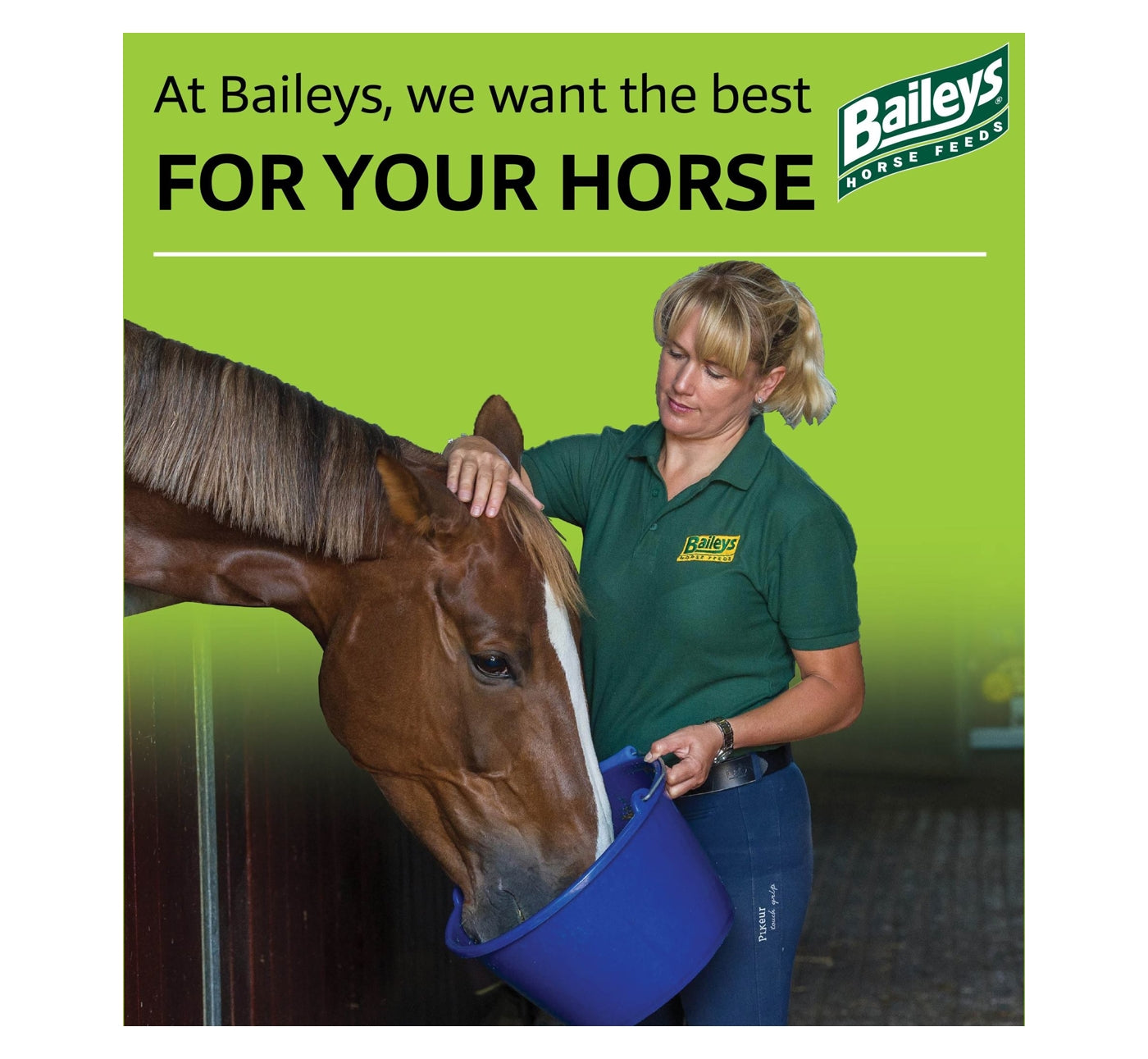 Baileys Light Chaff | Horse Feed - Buy Online SPR Centre UK