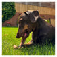 Bamboodles ‘T-Bone’ Beef Flavour Dog Chew (Large) - Buy Online SPR Centre UK