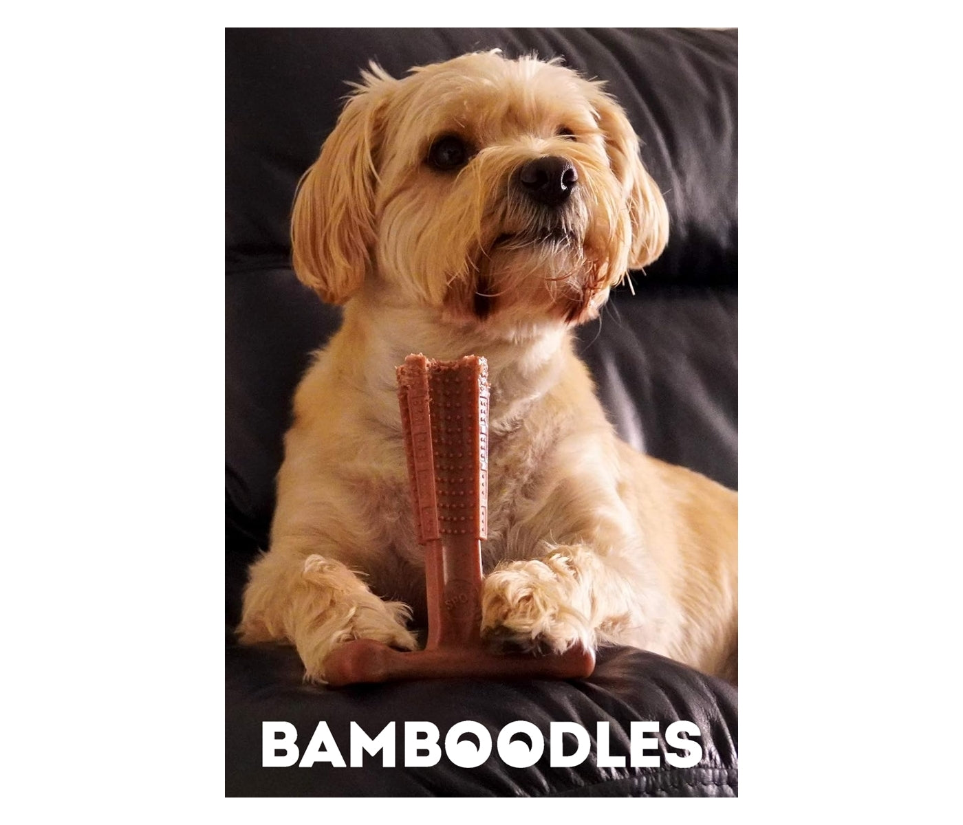 Bamboodles ‘T-Bone’ Beef Flavour Dog Chew (Small) - Buy Online SPR Centre UK
