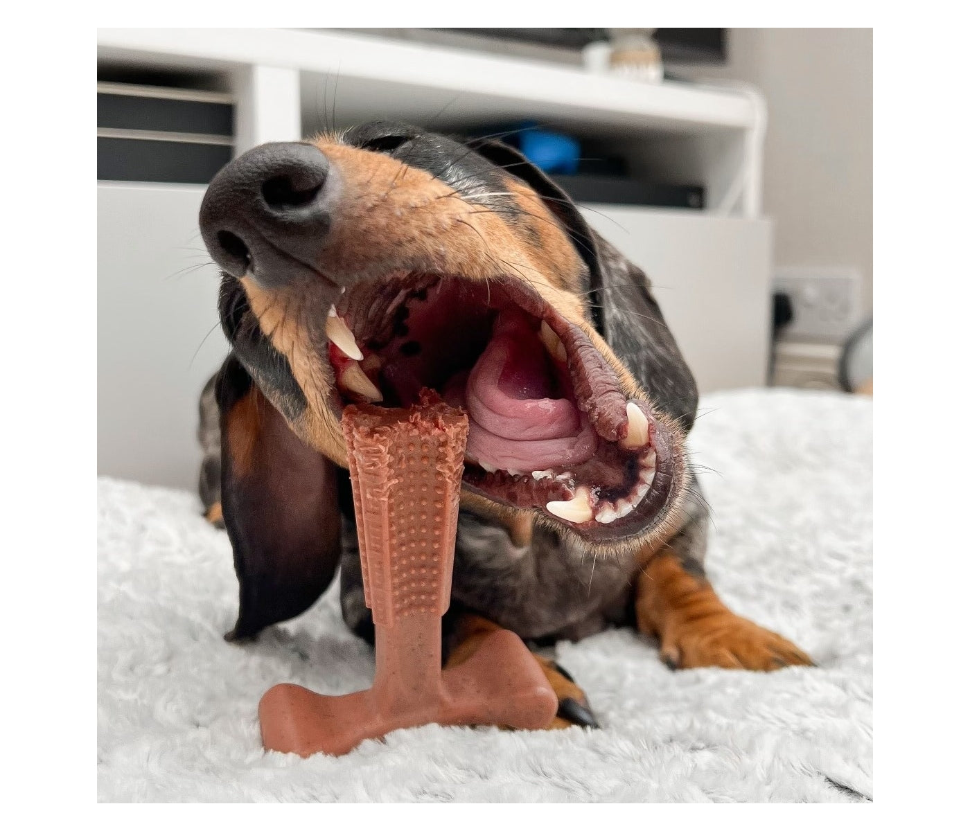 Bamboodles ‘T-Bone’ Beef Flavour Dog Chew (Large) - Buy Online SPR Centre UK